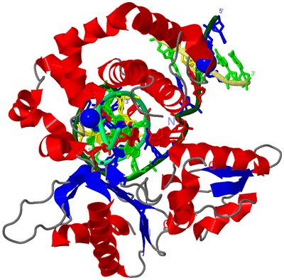 Image Asym./Biol. Unit