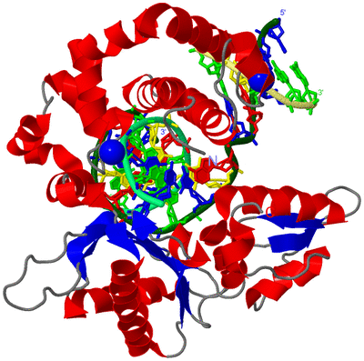 Image Asym./Biol. Unit