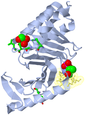 Image Biol. Unit 1 - sites