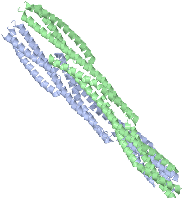 Image Asymmetric Unit