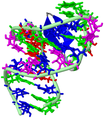 Image NMR Structure - model 1