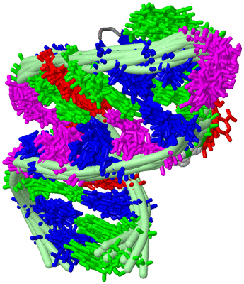 Image NMR Structure - all models