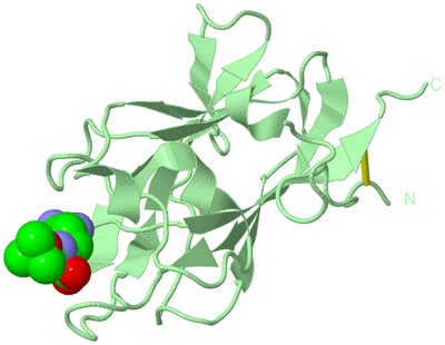 Image Biological Unit 2