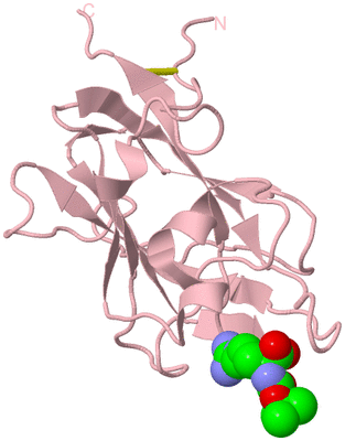 Image Biological Unit 3