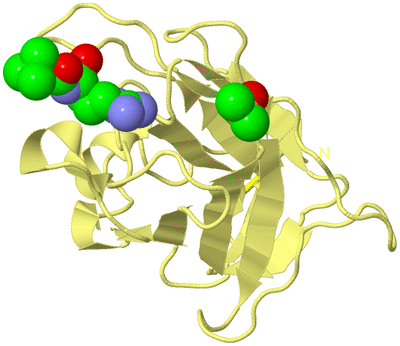 Image Biological Unit 4