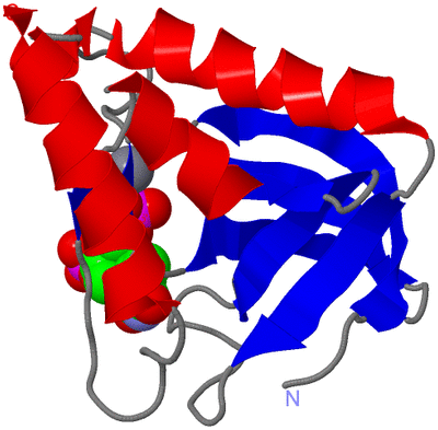 Image Asym./Biol. Unit