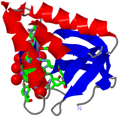 Image Asym./Biol. Unit - sites