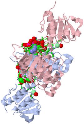 Image Biol. Unit 1 - sites