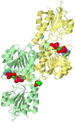 Image Biological Unit 2