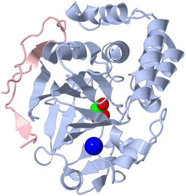 Image Biological Unit 1