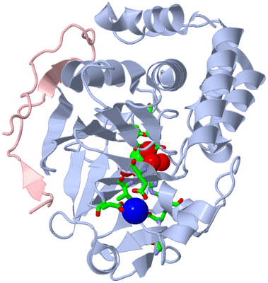 Image Biol. Unit 1 - sites