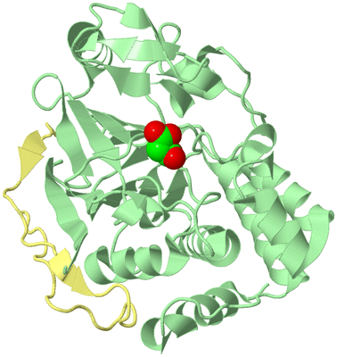 Image Biological Unit 2