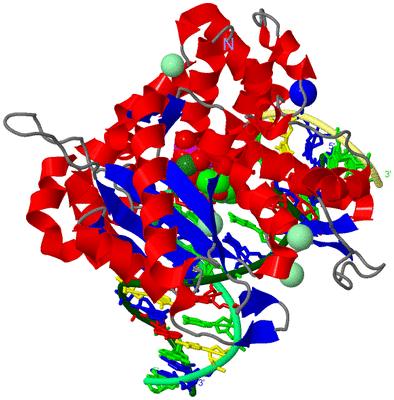 Image Asym./Biol. Unit