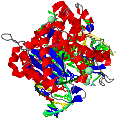 Image Asym./Biol. Unit - sites