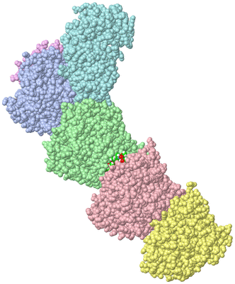 Image Asym./Biol. Unit