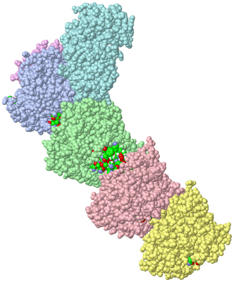 Image Asym./Biol. Unit - sites