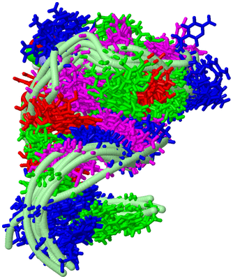 Image NMR Structure - all models