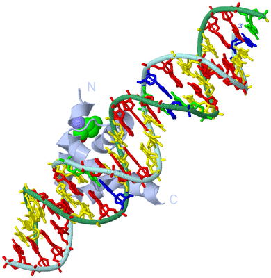 Image Biological Unit 1