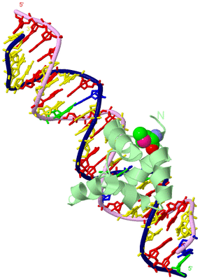 Image Biological Unit 2