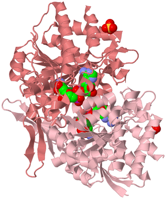 Image Biological Unit 2