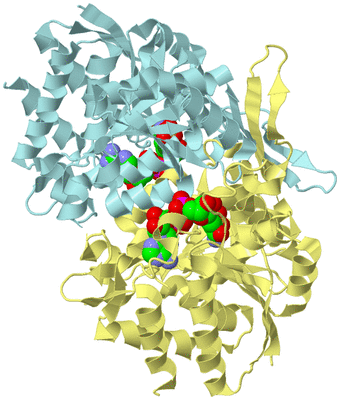 Image Biological Unit 3