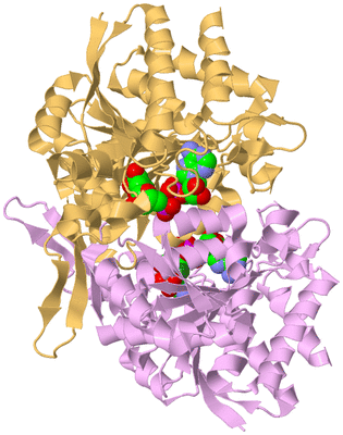 Image Biological Unit 4