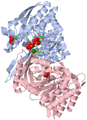 Image Biol. Unit 1 - sites