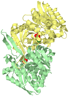 Image Biological Unit 2