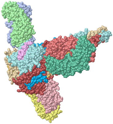 Image Asym./Biol. Unit