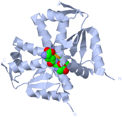 Image Biological Unit 1