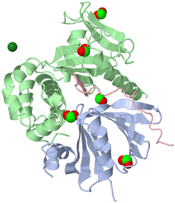 Image Asym./Biol. Unit