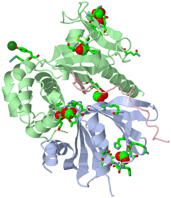 Image Asym./Biol. Unit - sites