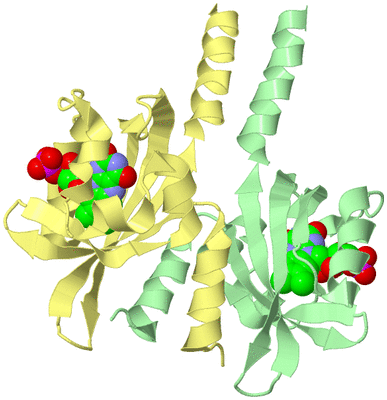 Image Biological Unit 2