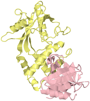 Image Biological Unit 2