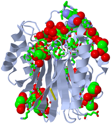 Image Biol. Unit 1 - sites