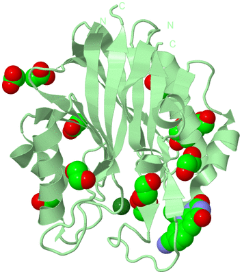 Image Biological Unit 2