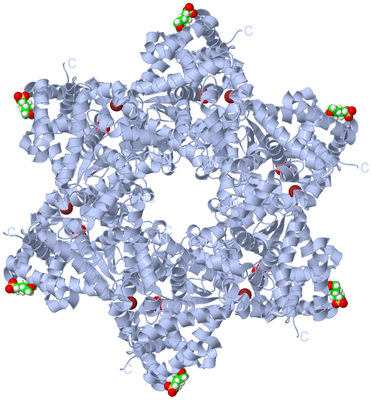 Image Biological Unit 1