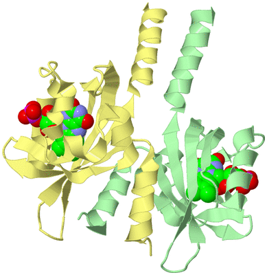 Image Biological Unit 2