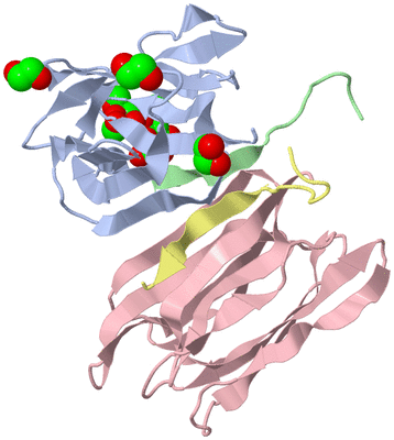 Image Biological Unit 1