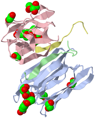 Image Biological Unit 1