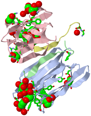 Image Biol. Unit 1 - sites