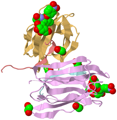 Image Biological Unit 2