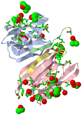 Image Biol. Unit 1 - sites