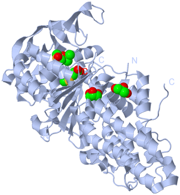 Image Biological Unit 1