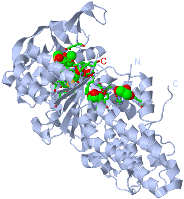 Image Biol. Unit 1 - sites