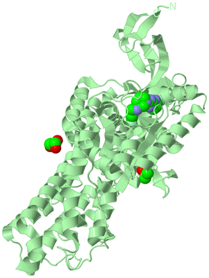 Image Biological Unit 2