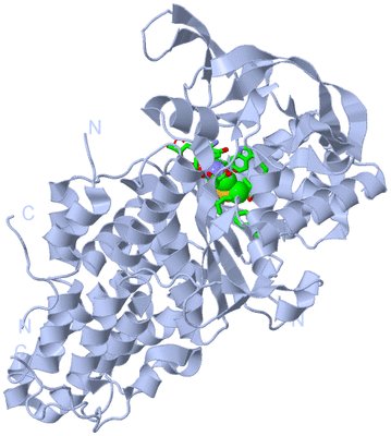 Image Biol. Unit 1 - sites