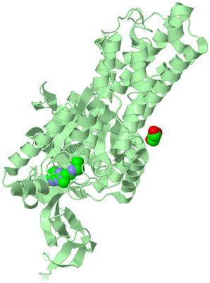 Image Biological Unit 2