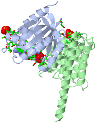 Image Asym./Biol. Unit - sites