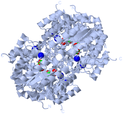 Image Biological Unit 1